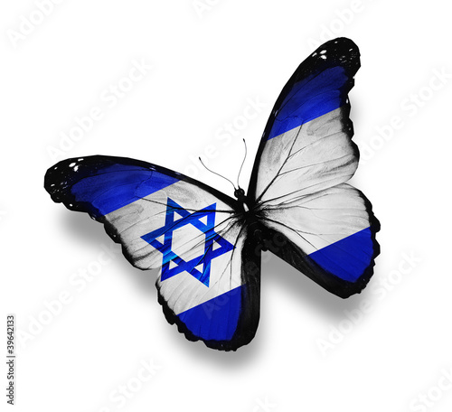 Illustration: Israeli flag butterfly, isolated on white Israeli flag butterfly, isolated on white