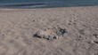 Video: Circulo de piedras en la playa Circulo de piedras en la playa