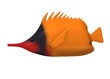 3d render of tropical fish 3d render of tropical fish