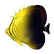 3d render of tropical fish 3d render of tropical fish
