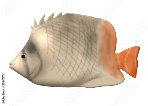 Illustration: 3d render of tropical fish 3d render of tropical fish