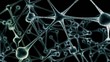 Neuron HD Loop