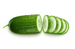 ripe cucumber cut segment vector illustration isolated on