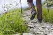 Wandern im Bergsommer