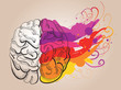 concept - creativity and brain
