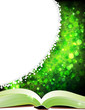 Open magic book Open magic book