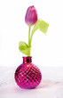 Pink Tulip In Vase