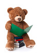 Reading bear with clipping path
