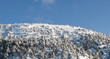 Winter Landscape, Troodos mountains Winter Landscape, Troodos mountains