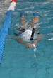 natation_08_nage avec palme