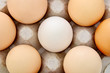 uovo bianco fragile diversità
