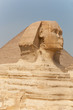 Foto: Le sphinx. Le sphinx.