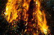 fire in the woods 05