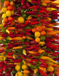 hot chili peppers 02