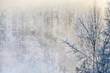 Hazy winter morning