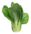 Pok Choi on white background