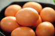 Frische Eier