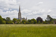Salisbury cathedral and the water meadows