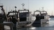 PESQUEROS AMARRADOS EN EL PUERTO