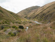 Route et montagnes de Cardrona Route et montagnes de Cardrona