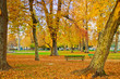 Autumn in the city park Autumn in the city park