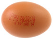 marquage sur oeuf marquage sur oeuf