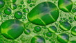 Clouds reflected in water drops time-lapse