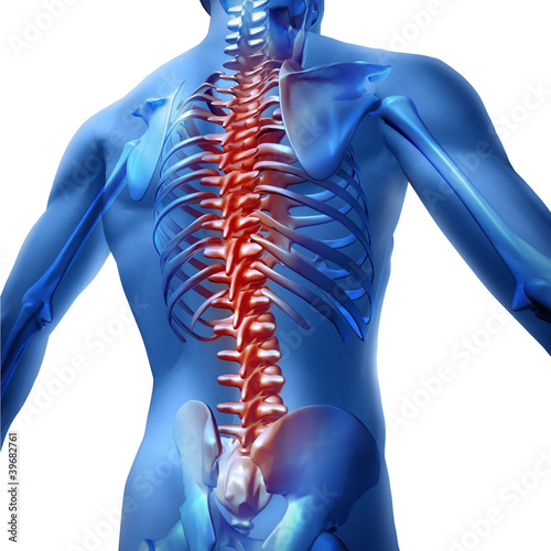 Illustration: Back Pain In Human Body Back Pain In Human Body