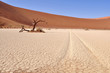 beautiful landscape of Hidden Vlei in Namib desert