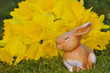 Ostern