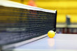 Net and ball for a table tennis Net and ball for a table tennis
