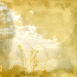 Delicate vintage background Delicate vintage background