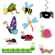 Cute Collection of Vector Bugs