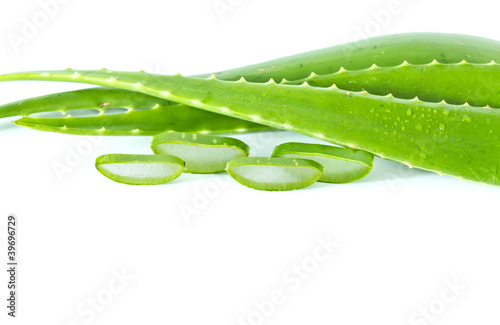 Photo: Aloe Vera isolated on white background Aloe Vera isolated on white background