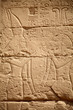 Egyptian hieroglyphs