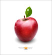 Vector red apple with green leaf on white background