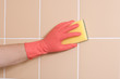 cleaning
