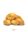 potato tubers vector isolated on a white background