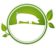 Button Bio Schwein