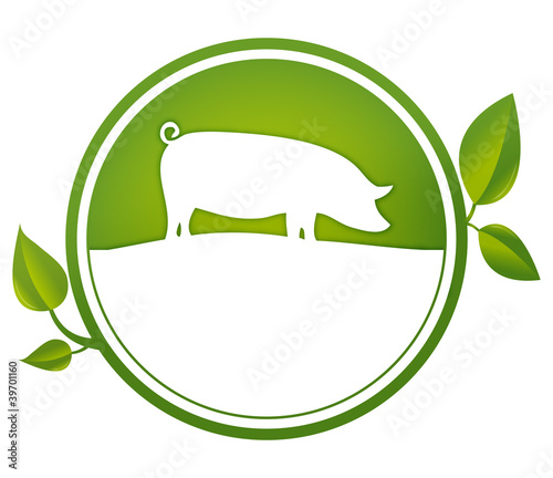 Illustration: Button Bio Schwein Button Bio Schwein