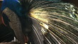 Video: peacock feathers peacock feathers