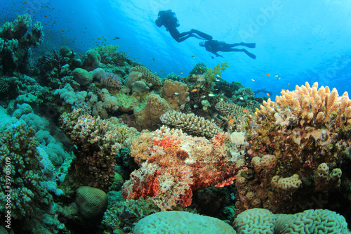 coral reef scorpionfish
