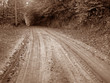 close up shot of dirt road in nature