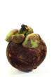 Mangostane
