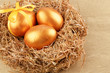 Golden eggs in the nest Golden eggs in the nest