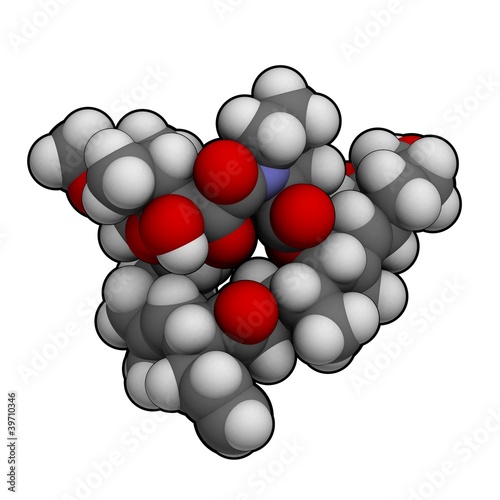 Illustration: tacrolimus: molecular structure (3D) tacrolimus: molecular structure (3D)