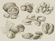 set of nuts