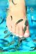 Fish spa - Rufa Garra
