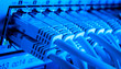 network cables