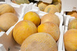 sweet melon
